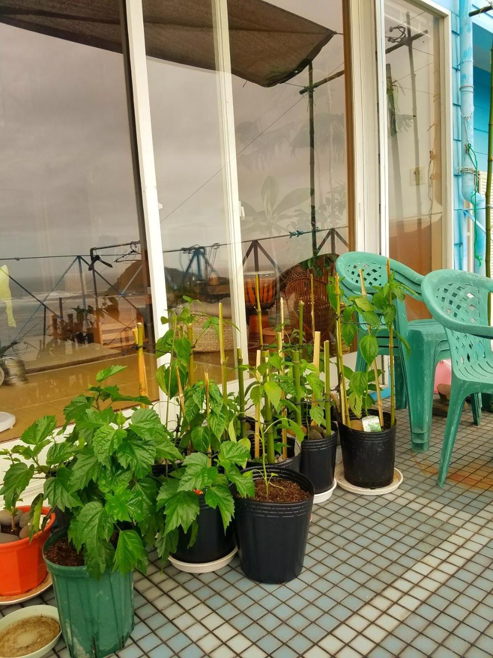 Ocean Home Guest House Miyazaki Extérieur photo